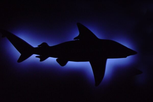 Bioluminescence Invisibility